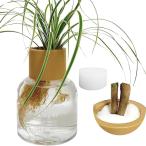  гидропоника гидропонная культура декоративное растение выращивание комплект губка есть прозрачный пластик pot (( прозрачный )2 комплект, Small)