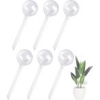  автоматика поилка растения полив водоснабжение колпак 6 шт. комплект половина прозрачный растение растение в горшке лейка PVC производства ( половина прозрачный, стандартный )