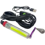  сборник рыба лампа USB подача тока style свет тип LED свет 30g -слойный . есть 20W IP68 водонепроницаемый 5m ночь рыбалка морская рыбалка подводный ( зеленый )