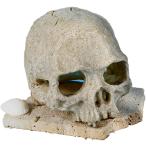  рептилии .. дом ракушка ta- террариум клетка .... рептилии разведение аквариум оборудование орнамент череп произведение искусства аквариум украшение ( светло-коричневый )