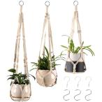  план to вешалка mak ламе висячий подвешивание ниже посадочная машина декоративное растение лен шнур 3 шт. комплект ( слоновая кость )
