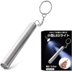 懐中電灯 小型 キーライト キーホルダーライト led 単4電池 電池式 高輝度 防災 停電対策 緊急用 キャンプ 登山 夜釣り