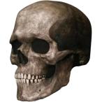 .. череп маска Halloween каркас headgear Halo we nla Tec s костюмированная игра маска ужасы душа ужасы .. маска для лица 