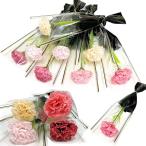 ソープフラワー 1輪 ラッピング済 花材 カーネーション 母の日 結婚式 退職 誕生日 プチギフト M((Mサイズ)ミックスカラー8本)