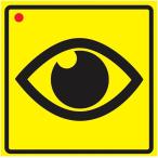 ムイビエン ギロリ目防犯対策ステッカー ドライブレコーダー録画中 防犯カメラ録画中 煽り運転や不審者の牽制に by( イエロー)