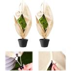  защищающий от холода .. предотвращение растения защитный корпус нетканый материал молния имеется зима холод .. исключая . теплоизоляция сиденье москитная сетка ( 2 шт. комплект *60cmx80cm)