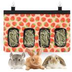 chimosi- inserting трава inserting большой заяц шиншилла механизм подачи .. из нет клетка фиксация приманка inserting ( клубника )