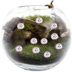 ショッピングテラリウム 苔テラリウム フィギュア(パープル)