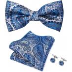  бабочка галстук pocket square запонки кнопка 3 позиций комплект формальный свадьба party MDM (12634-JP309b)