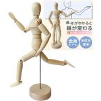 デッサン人形 デッサンドール モデル 全身 可動 関節 美術 国内検品 木製 (人形)