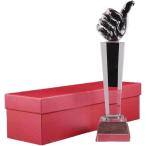  награждение Trophy победа Trophy ... Poe z спорт собрание интересный подарок чемпионский кубок ( прозрачный, длина 26cmx ширина 7cm)