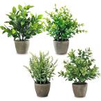  искусственная зелень настольный Mini 4 позиций комплект камень глаз style pot декоративное растение полив не необходимо интерьер ( зеленый )