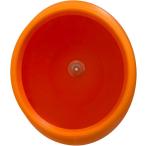  рептилии ракушка ta-k отсутствует присоска мяч ракушка ta-. сверху .kre ste dogeko-( orange, 8.5 x 6.5 x 12cm)
