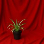  фон ткань большой одноцветный задний экран фотография Studio многоцелевой фотосъемка для фотосъемка ткань оборудование орнамент складной стирка возможность ( красный, 3mx4m)