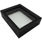  образец коробка si-la кейс насекомое маленький размер из дерева MDF ( черный, 23x18x5.8cm)