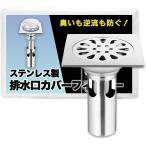  пол дренаж осушение фильтр из нержавеющей стали квадратный ( серебряный, длина / примерно 10cm ширина / примерно 10cm длина / примерно 10.5cm низ часть диаметр / примерно 4cm)