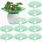  клубника рассада для фигурная скобка комплект 10 шт культивирование для клубника поддержка клубника ( зеленый )