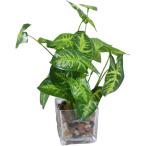 フェイクグリーン 観葉植物 インテリア 造花 おしゃれ (グリーン,  25cmx7cm)