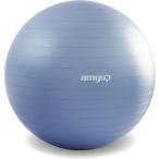 バランスボール 4色 厚み2.5mm 耐荷重約1700kg ジムボール フィットネスボール アンチバースト 親子(ブルー,  55cm)