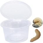 ショッピングプリン 繁殖容器 成虫 幼虫 昆虫 プリンカップ クワガタ 卵 カブトムシ 穴あきプラスチックカップ 30個 (透明)