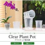  цветочный горшок прозрачный пластиковый разрез поддонник комплект 5 штук комплект корень . видно o- Kid pot "дышит" осушение .. бабочка орхидея ( прозрачный, 12cm)