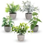 卓上フェイクグリーン 観葉植物 造花 インテリア ミニ 光触媒 置物 おしゃれ fake plant 緑(グリーン,  5個セット)