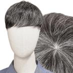 ウィッグ メンズ 白髪 グレイ 白色 