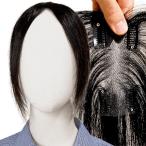 部分ウィッグ ヘアピース ポイント