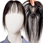 部分ウィッグ ヘアピース ポイント