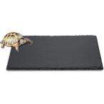 { кусачки для ногтей .... удобный уход } черепаха . скала plate теплоизоляция * увлажнитель * долговечность черепаха покрытие пола суша земля камень доска ( черный, квадратное type 30x20cm)