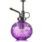  стекло опрыскиватель Vintage способ лейка 240ml первоклассный Mist распылитель модный заполняющий бутылка интерьер растения ( лиловый )