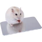  хомяк мелкие животные .... plate . чувство aluminium прохладный коврик ... охлаждающий коврик . средний . меры ( серебряный, M)