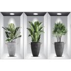 ショッピングウォールステッカー ウォールシール ウォールステッカー 壁紙シール 貼ってはがせる 3D 観葉植物 DIY(3つ)