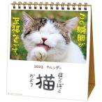 カレンダー 2023 卓上 ACTIVE 日なたぼっこ猫だより ACL-1539 （アク-37） 2023年1月始まり 令和5年 アク-ティブコーポレ