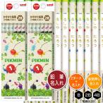 鉛筆2ダースと金箔押し名入れのセット品 三菱鉛筆 ピクミン 5652 6角軸 硬度4種（B・2B・4B） 名入れ1氏名（1書体）のみ かきかたえんぴつ