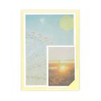  пустой час [ мгновенно ] открытка комплект ....* лимон SIPS-03 (8) открытка 4 листов * миникар do2 листов * наклейка 1 сиденье ryuryu