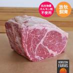 (数量限定) モーガン牧