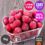 有機 JAS オーガニック 冷凍 ストロベリー いちご 苺 1kg トルコ産 砂糖不使用 化学物質不使用