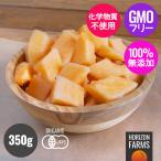 60%OFF半額 セール 有機 