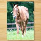 ＜引退馬協会＞クリアファイル 「タイキシャトル」３