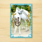 生きているだけでいい！−馬がおしえてくれたこと