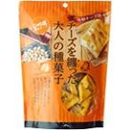 トーノー じゃり豆 濃厚チーズ 東海農産 70g 種菓子 チーズ おつまみ 個包装 賞味期限：27.4.14