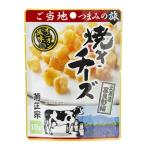 菊正宗 焼きチーズ オニオン風味 18g チーズ おつまみ 珍味 酒の肴 チーズ珍味 晩酌 菊正宗酒造 酒のつまみ 晩酌 宅飲み 家飲み お酒のお供 小袋 食べきり