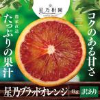 【早割10%SALE】星乃ブ