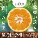 ショッピングせとか 【早割10%SALE】星乃伊予柑【木成り完熟みかん/サイズ混合】 3.5kg