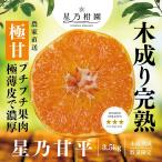 ショッピング甘平 【早割10%SALE】星乃甘平【木成り完熟みかん/極甘】 3.5kg