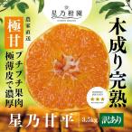 ショッピング甘平 【早割10%SALE】星乃甘平【木成り完熟みかん/訳あり】 3.5kg