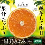 [ скидка за ранний заказ 10%SALE] звезда ....[ дерево .... мандарин / есть перевод ] 5kg