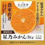 [ скидка за ранний заказ 10%SALE] звезда . мандарин [ дерево ..../ Ehime префектура производство ] 3kg