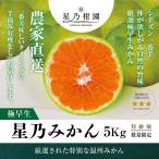 星乃みかん【木成りみかん/極早生】5kg
